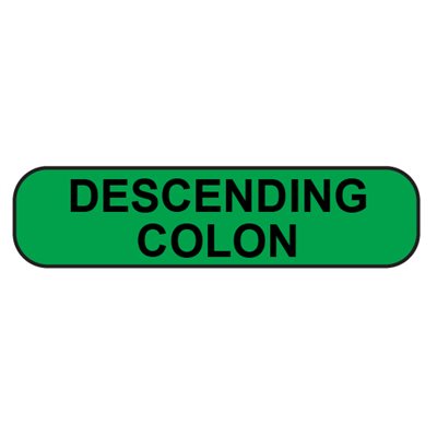 Label: Descending colon
