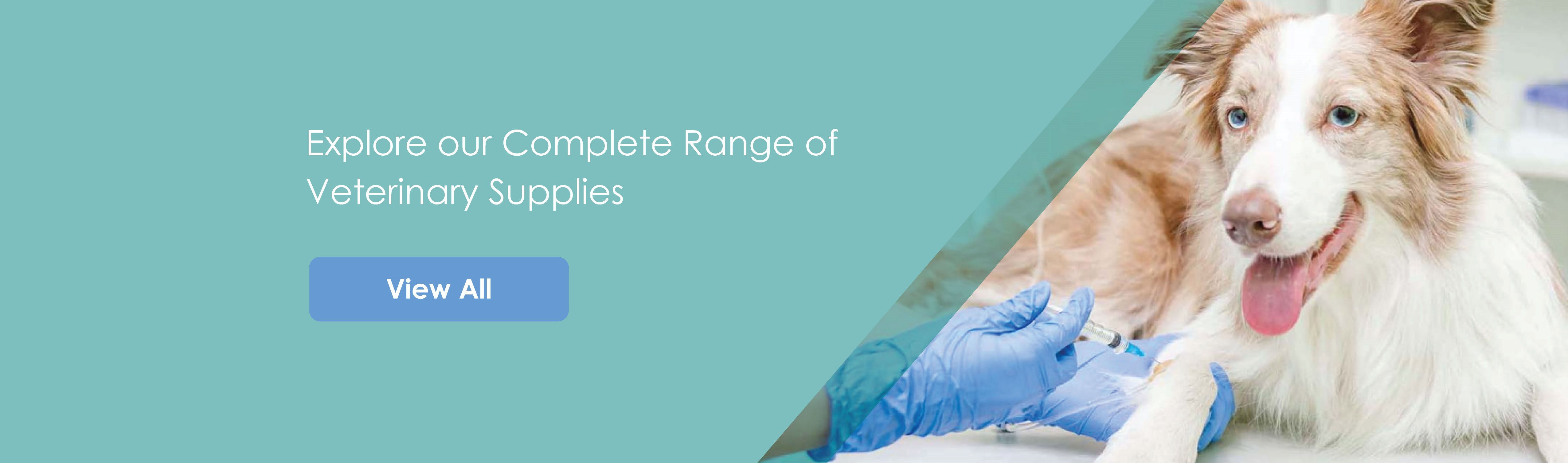 View PharmaSystems' full Veterinary Supplies Catalogue 